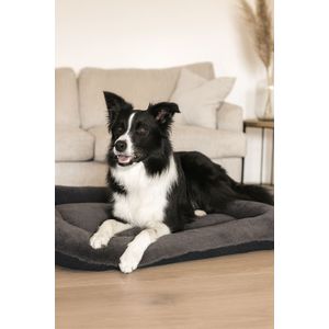 Pet bed Sally Dog 55 x 75, colour: anthracite