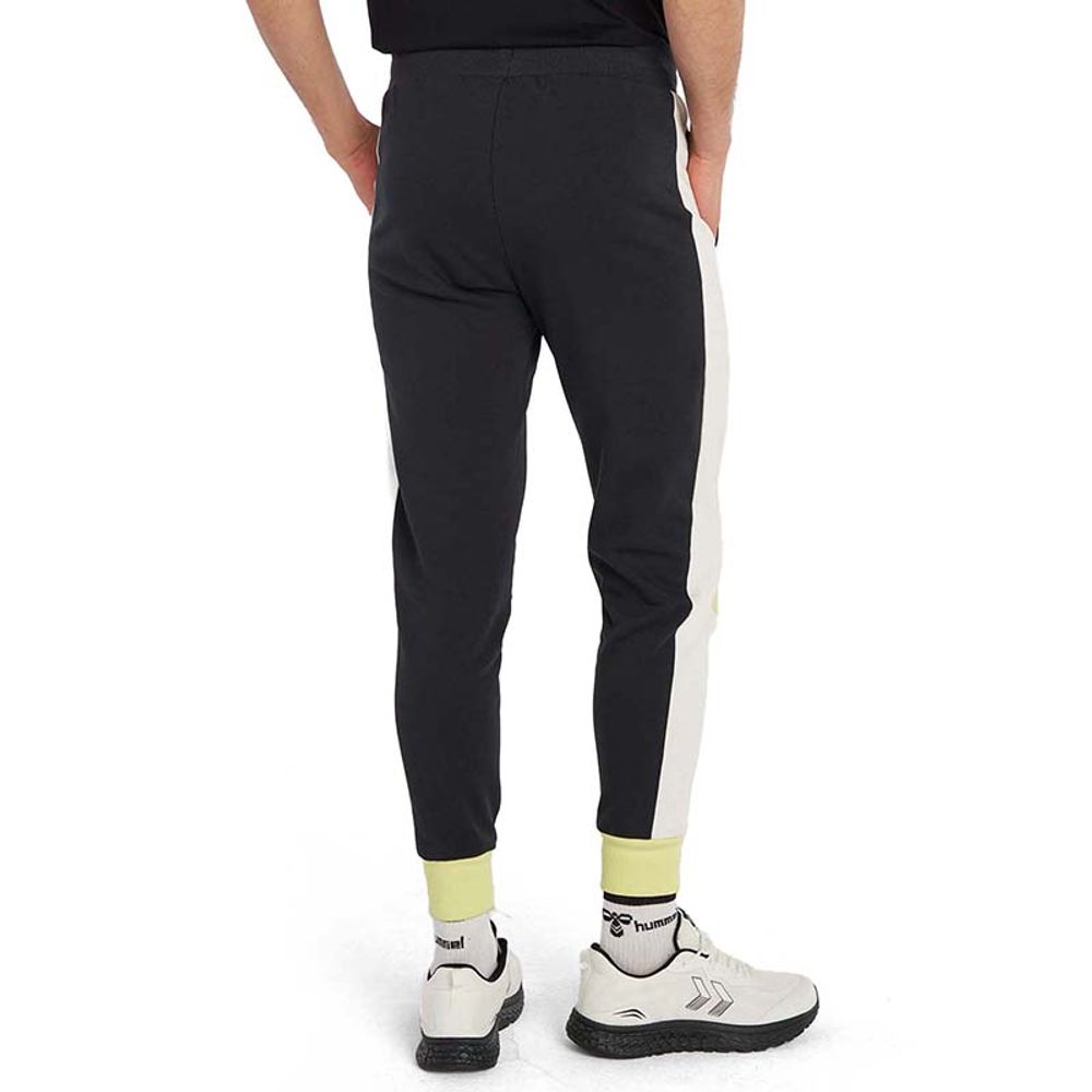 Hummel Donji dio trenerke za muškarce Hmlabel Pants slika 2