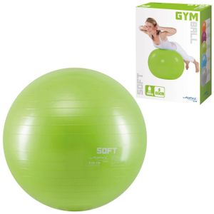 Gimnastička lopta Gym Soft 65cm