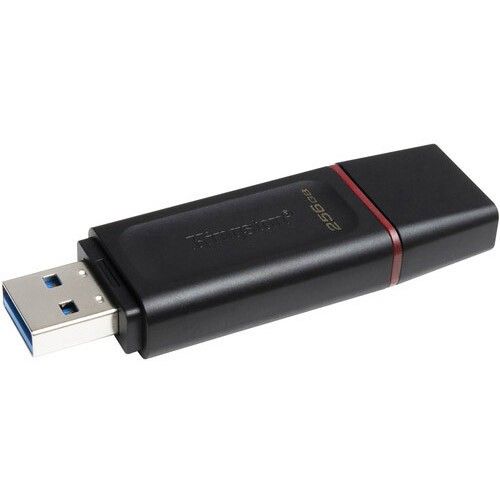 Kingston USB Flash 256GB DTX/256GB USB 3.2 slika 2