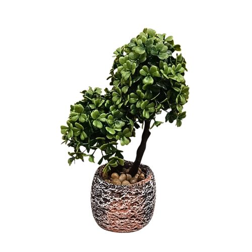 Cvet u saksiji - BONSAI 2 BALLS - N38 slika 1