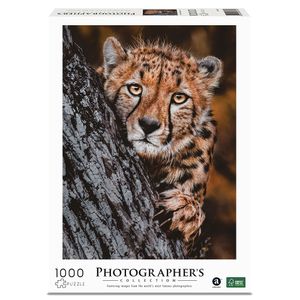 PUZZLE - gepard 1000 kom 70x50cm photographers collection