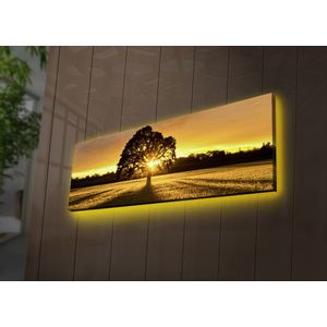 Wallity 3090DACT-68 ViÅ¡ebojno Dekorativno LED Osvetljeno Platno