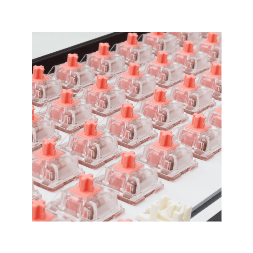 WHITE SHARK PL Mehanički prekidač za tastaturu VENOM ROSE-65 / 65 KOM slika 3