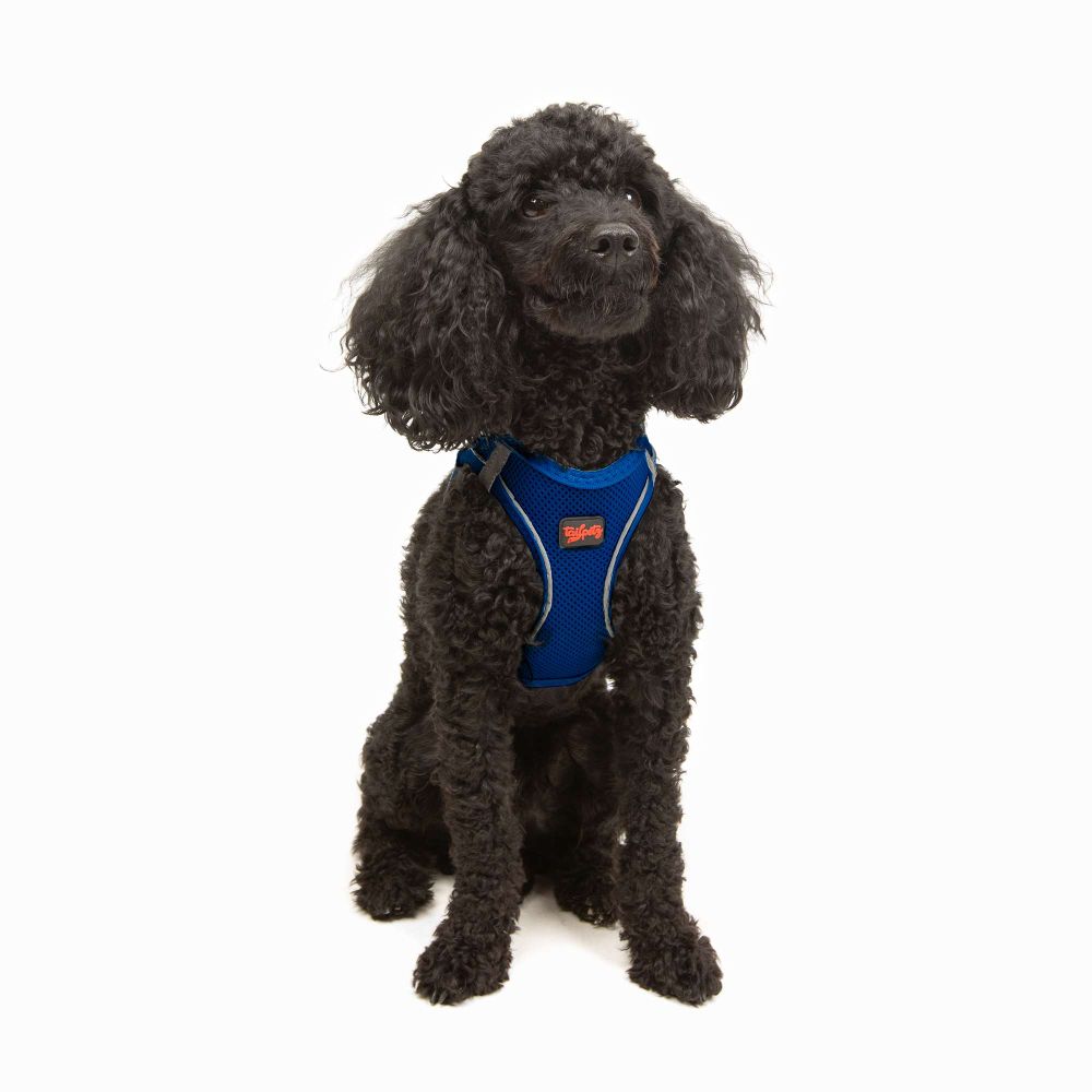 Air-Mesh - Sax Blue Sax Blue Dog Harness slika 2