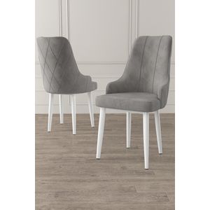 Trex - Sivi i Bijeli Set Stolica (2 Komada)