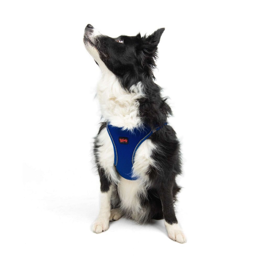 Air-Mesh - Sax Blue Sax Blue Dog Harness slika 5