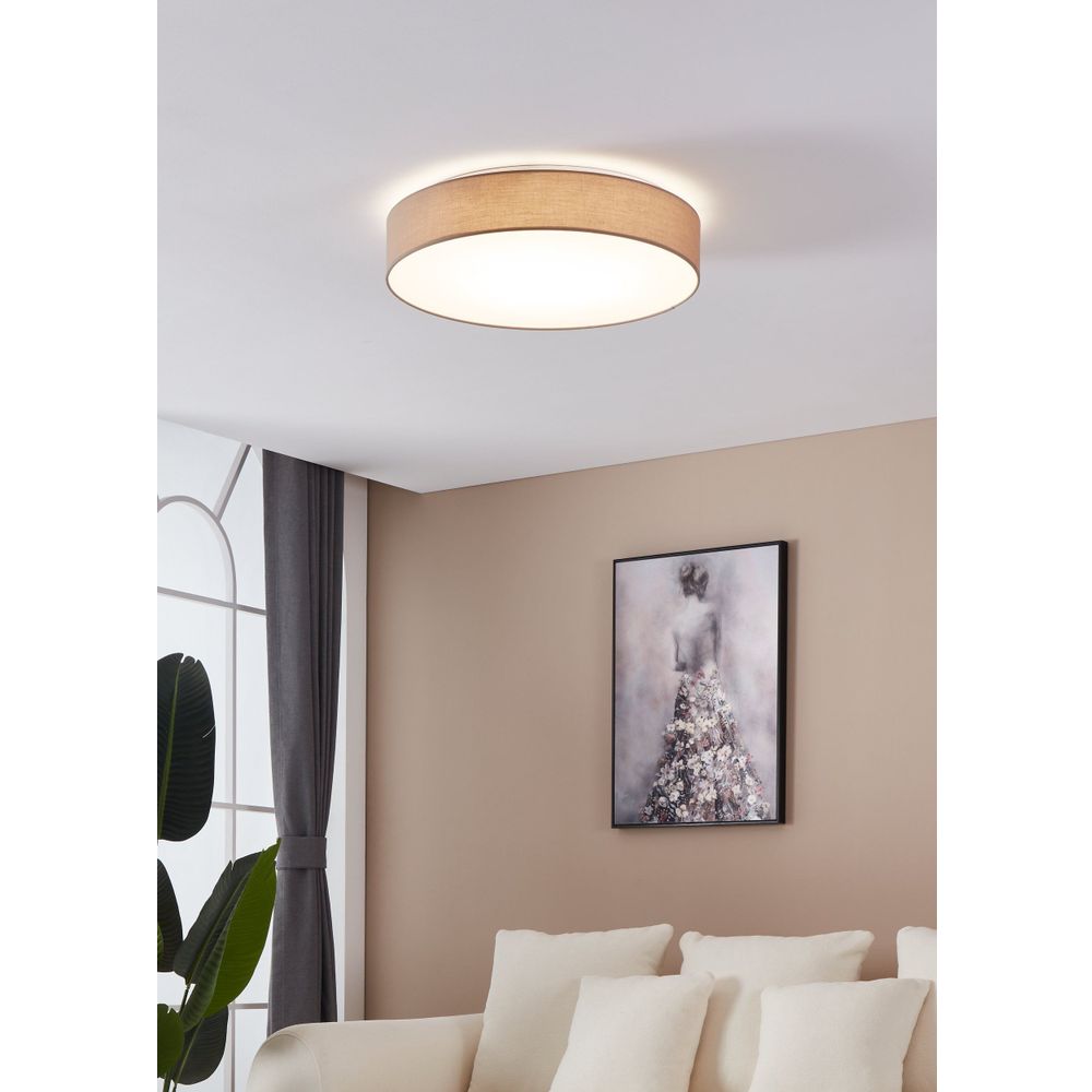 Eglo Romao 3 Plafonjera sa Daljinskim Upravljačem, LED, 40W, Promjer 570mm, Dimabilna, Sivo/Bijela slika 2