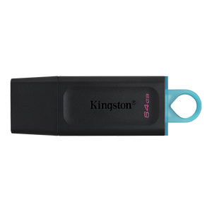 Flash Kingston 64GB DTX/64GB