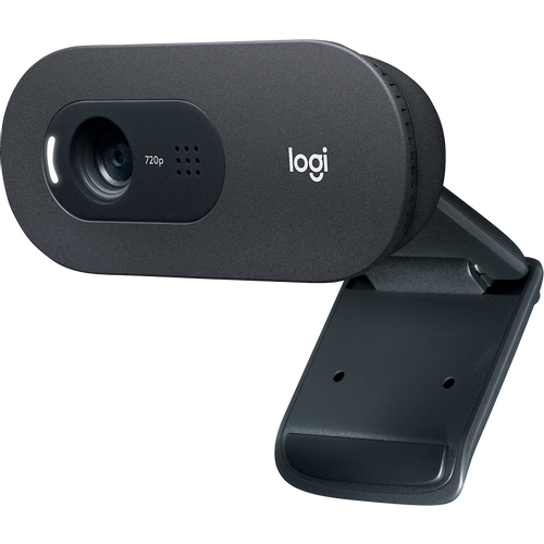LOGITECH C505 HD Webcam - BLACK - USB- EMEA - 935 slika 2