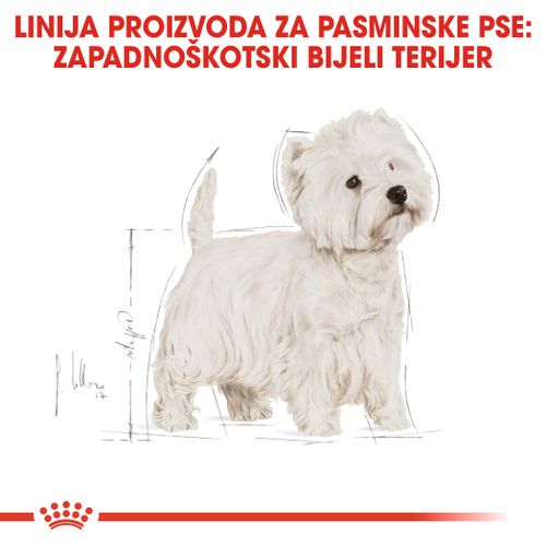 ROYAL CANIN BHN West Highland White Terrier Adult, potpuna hrana specijalno prilagođena potrebama odraslih i starijih zapadnoškotskih bijelih terijera, 1,5 kg slika 5