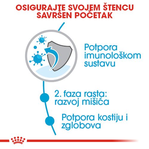 ROYAL CANIN SHN Giant JUNIOR, Potpuna hrana za pse specijalno za štence divovskih pasmina (konačne težine > 45 kg)  od 8 do 18/24 mjeseci starosti, 15 kg slika 5