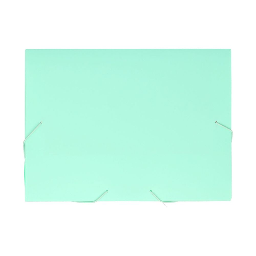 TipTop Office Mapa sa 2-Gume Box A4, Pastel Zelena slika 1
