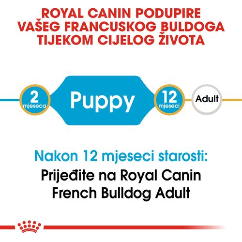 ROYAL CANIN BHN French Bulldog Puppy, potpuna hrana za pse specijalno za štence francuskog buldoga u dobi do 10 mjeseci, 3 kg slika 8