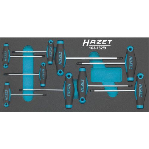 Komplet odvijača T-Griff TORX® Komplet alata TORXS 9 djelni slika 1