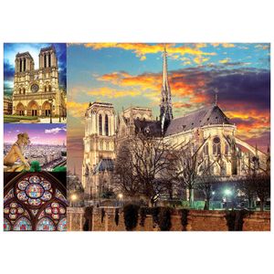 Notre Dame Collage puzzle 1000pcs