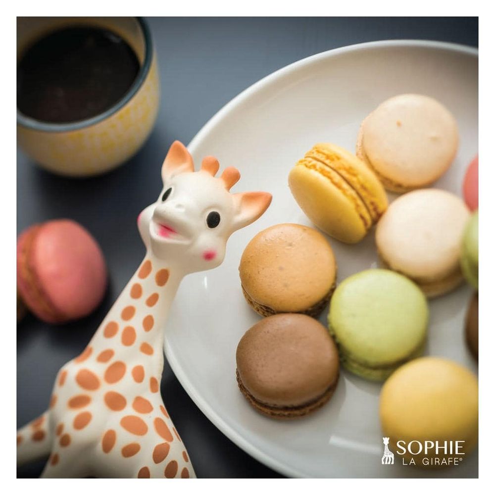 Sophie La Girafe Igračka/Glodalica Sophie žirafa slika 4