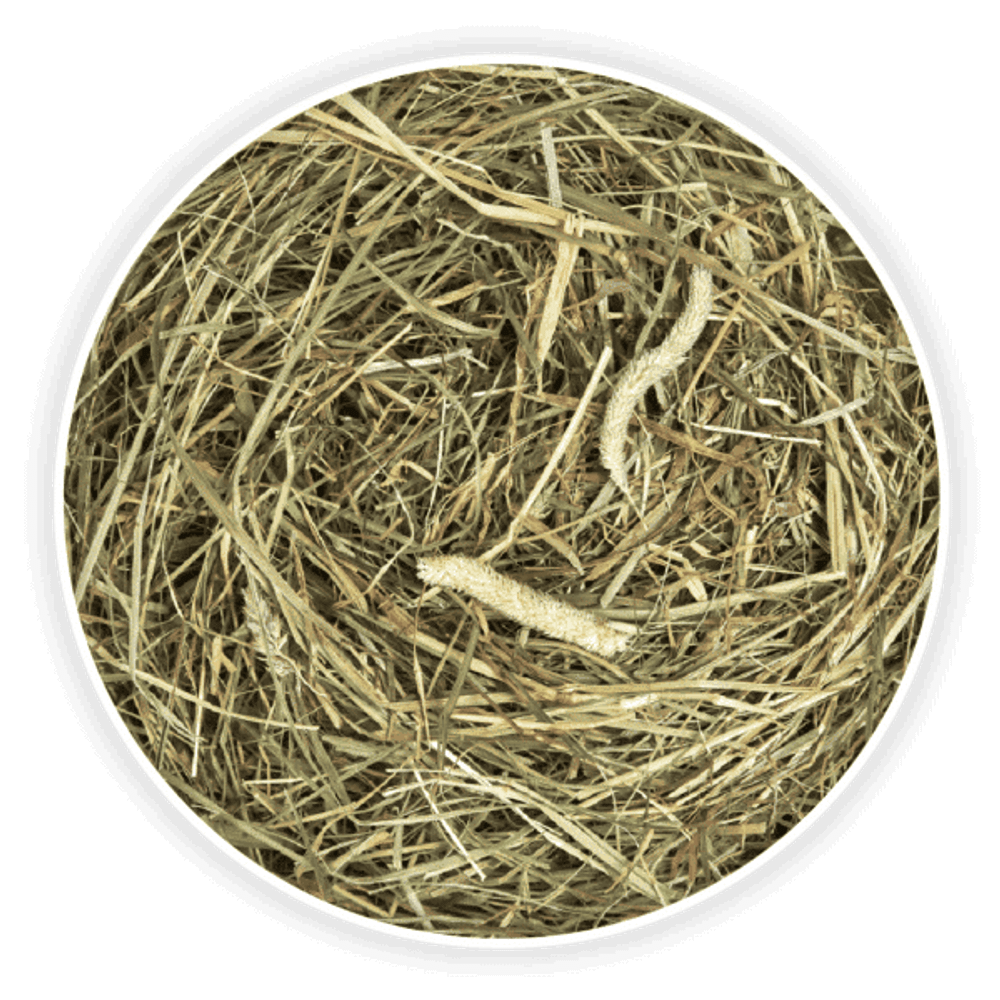Cunipic Naturaliss Premium Timothy sijeno 500g za kuniće i glodavce slika 3