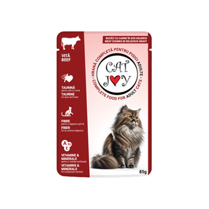 Cat Joy hrana za mačke u umaku Govedina 85g 