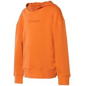 T921479-1022 Hummel Duks Hmlcamillo Hoodie T921479-1022