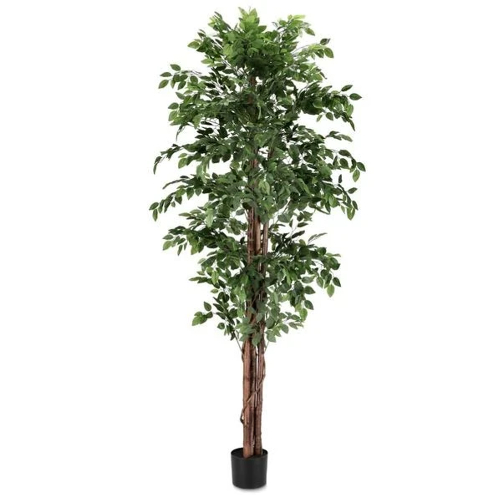 Bizzotto Fikus 210 cm lončanica umjetna slika 1