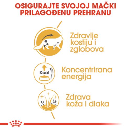 ROYAL CANIN FBN Maine Coon, potpuna i uravnotežena mokra hrana u umaku za mačke, specijalno za odrasle mačke pasmine Maine Coon starije od 15 mjeseci, 12x85 g slika 6