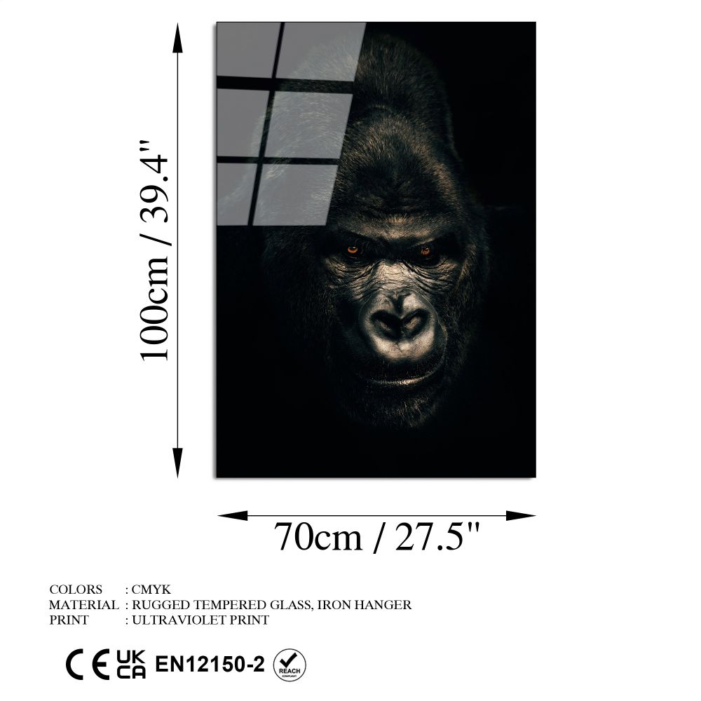 Dekorativna Slika na Kaljenom Staklu UV-160, 70 x 100 cm, Višebojna slika 8