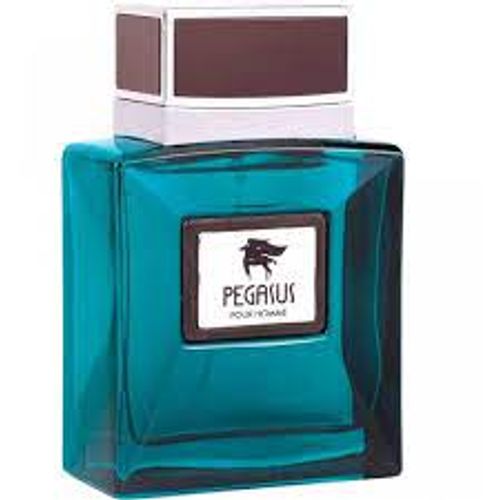 Flavia PEGASUS POUR HOMME edp 100ml slika 1