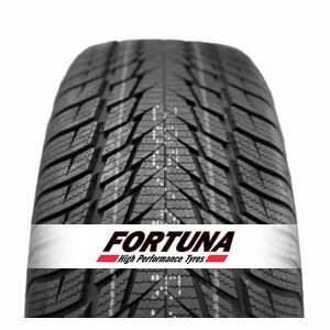 FORTUNA Zimska guma 255/40R19 100V XL Gowin UHP2