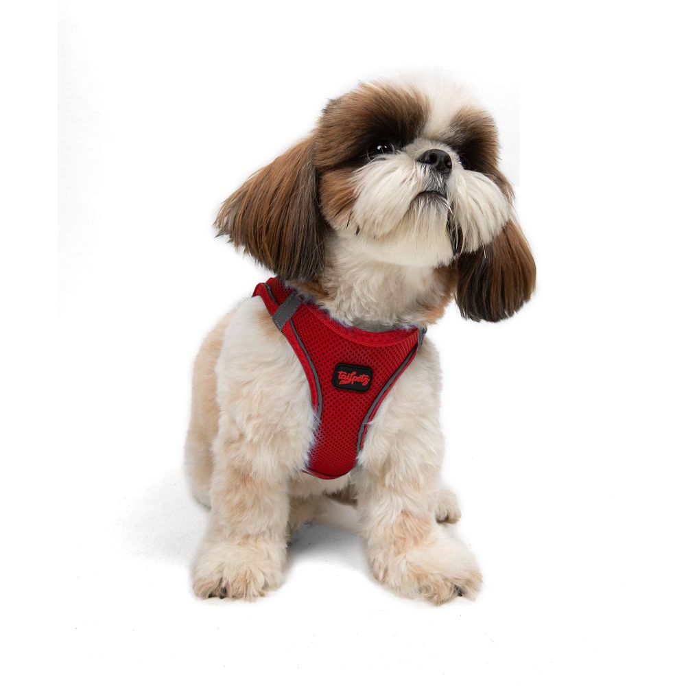 Dog harness Air-Mesh, colour: red slika 2