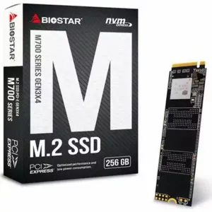 Biostar 1700MBs/1450MBs   M700 SSD M.2 512GB 