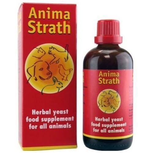 Anima Strath sirup za imunitet i apetit 100ml slika 1
