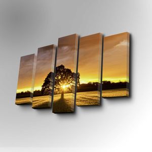 5PUC-004 Multicolor Decorative Canvas Painting (5 Pieces)