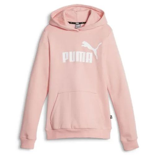 Puma Duks Ess Logo Hoodie Fl G Djevojčice slika 6