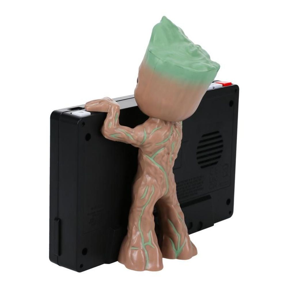 PALADONE Groot Budilica slika 3
