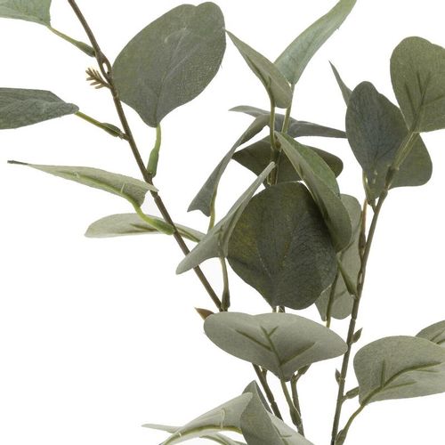 Atmosphera dekorativna biljka eucalyptus sa vazom slika 2