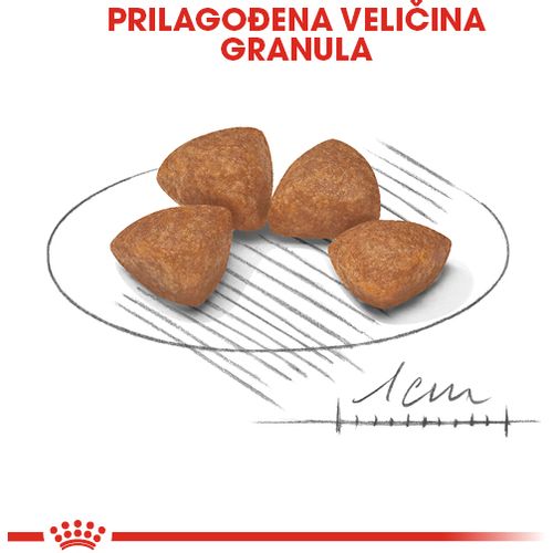 ROYAL CANIN SHN Extra Small Puppy, potpuna hrana za pse, specijalno za štence jako malih pasmina (konačne težine do 4 kg) do 10 mjeseci starosti, 500 g slika 7