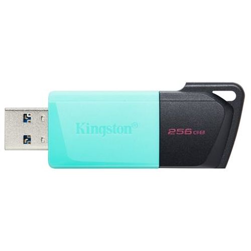 USB FD.256GB KINGSTON DTXM/256GB slika 1