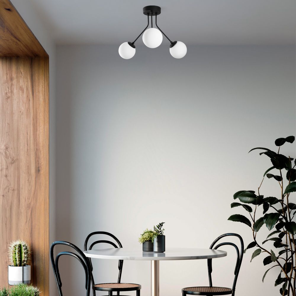 Orıon - Crni Luster 13955 slika 1