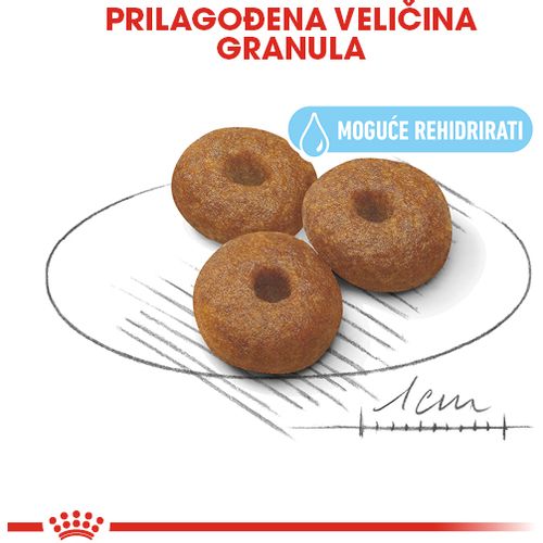 ROYAL CANIN SHN Maxi Starter, potpuna hrana za pse, specijalno za kuje  velikih pasmina (26-44 kg) i njihove štence, 15 kg slika 7