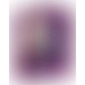 You2Toys Velvet Purple vibrator