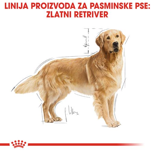 ROYAL CANIN BHN Golden Retriever Adult, otpuna hrana specijalno prilagođena potrebama odraslih i starijih golden retrivera, 3 kg slika 4