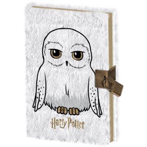 HARRY POTTER: PYRAMID - MARAUDERS MAP (A4 WIRO NOTEBOOK / QUADERNO