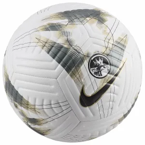 Nike premier league academy ball fb2985-106