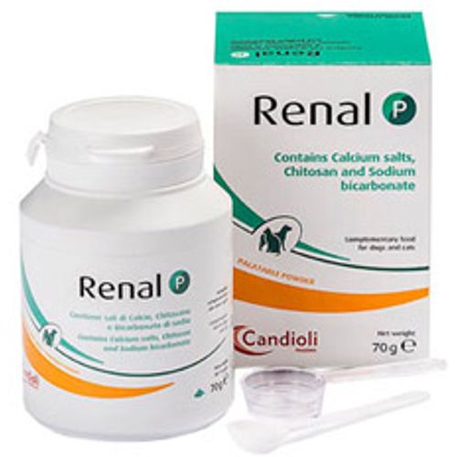 Candioli Renal P prah 70 g slika 1