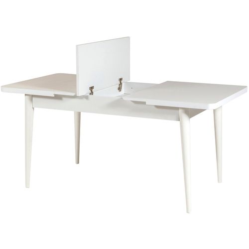 Woody Fashion Set stola i stolica (4 komada), Vina 0701 - 3 - White, Grey slika 6