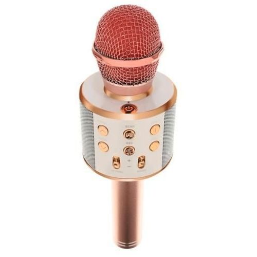 Karaoke mikrofon s zvučnikom rozi slika 1