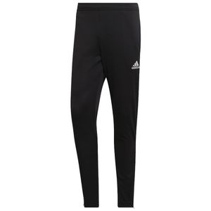 Adidas entrada 22 training pants hc0332