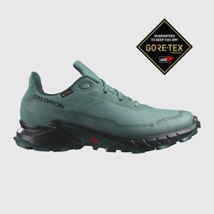 Tenisice  Salomon Alphacross 5 Gtx Blue