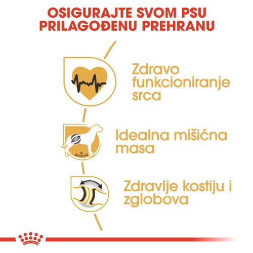 ROYAL CANIN BHN Rottweiler Adult, potpuna hrana za odrasle i starije pse pasmine rotvajler starije od 18 mjeseci, 12 kg slika 6